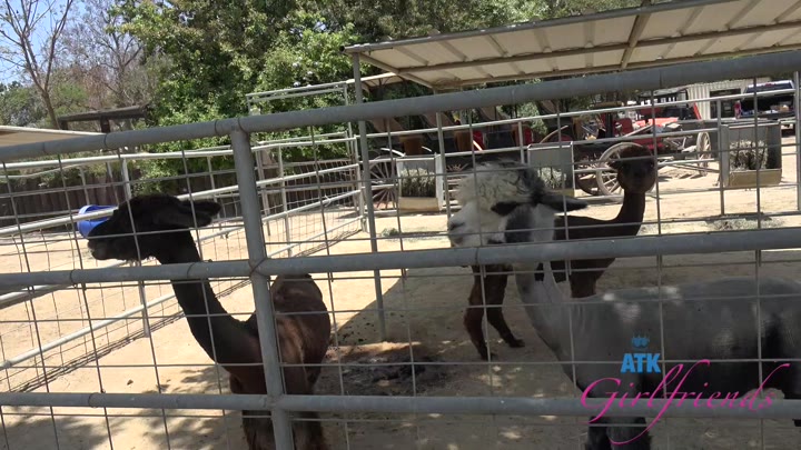 ATK Girlfriends – Breezy Bri Farm Date 1
