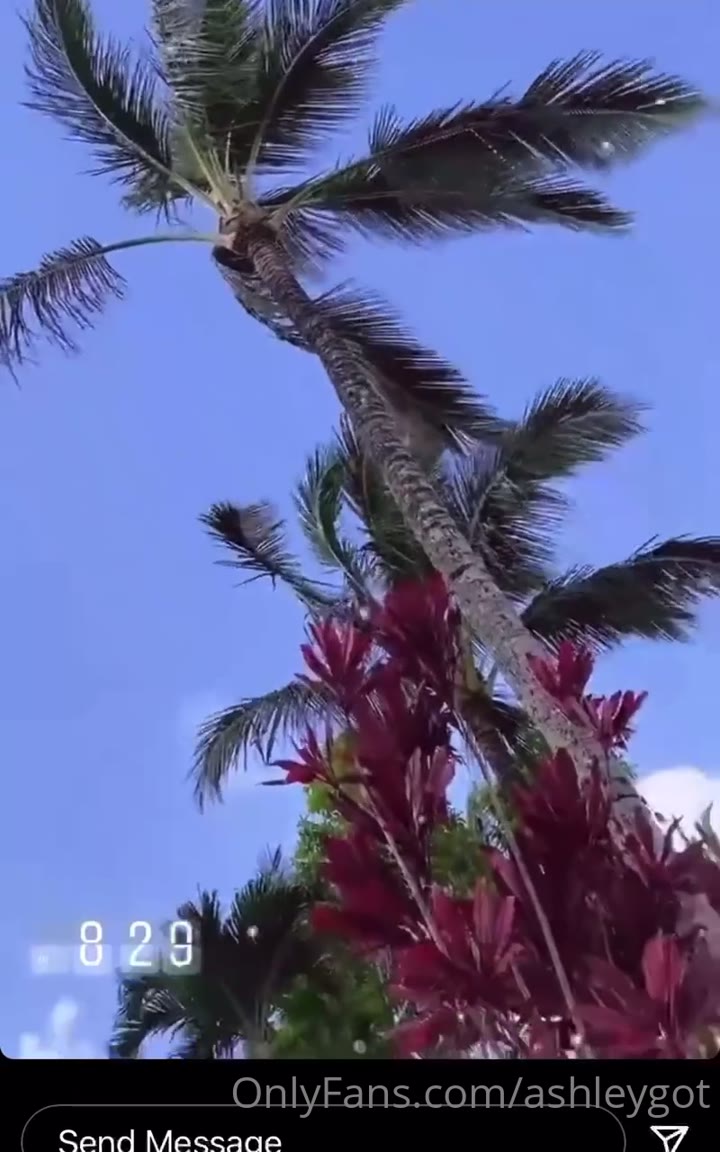 Ashley Got Onlyfans leak video 3