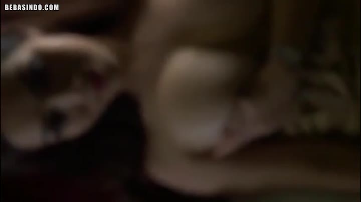 Watch Bokep Indo BTS Model Photoshoot Berujung Ngentot