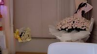 Watch KBKOL24052301 162cm premium