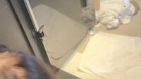 Watch Ellie wolfe vacation fuck
