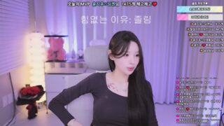 Korean BJ ll08ll28 2026-05-19